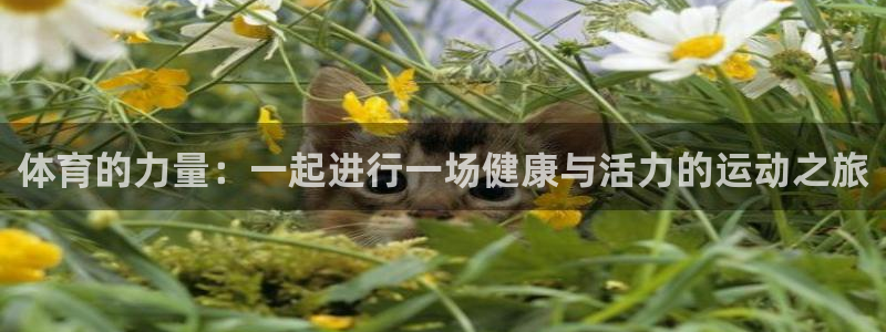 欧亿体育官方正版app集团logo:体育的力量:一起进行一场