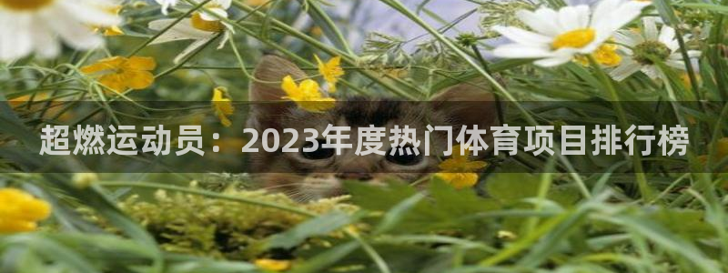 oety欧亿体育官网下载招商电话号码是多少:超燃运动员:20