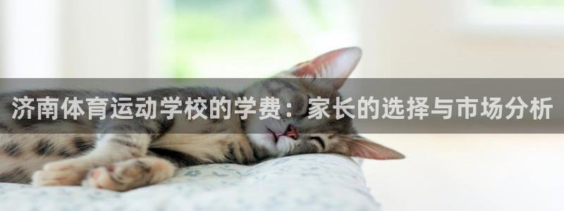 oety欧亿体育官网下载招商电话是多少:济南体育运动学校的学