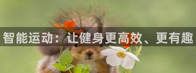 oety欧亿体育官网下载娱乐:智能运动:让健身更高效、更有趣
