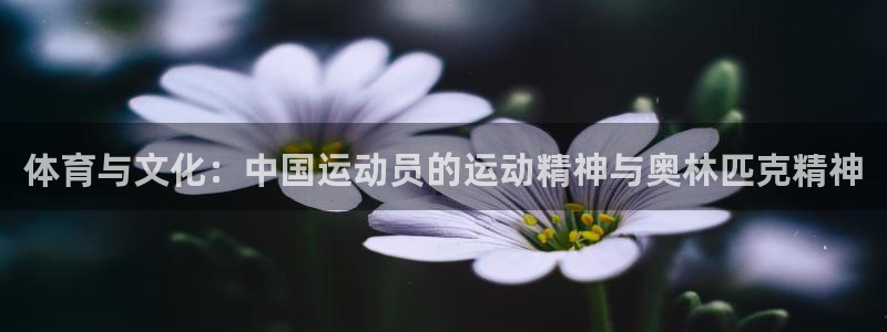 欧亿体育官方正版app集团官网首页网址:体育与文化:中国运动